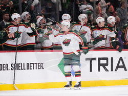 Predators Wild Hockey