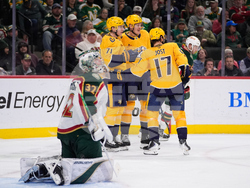 Predators Wild Hockey