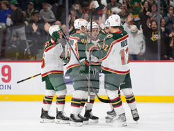 Predators Wild Hockey