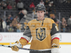 Red Wings Golden Knights Hockey