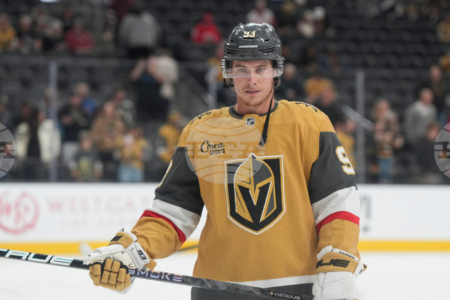 Red Wings Golden Knights Hockey