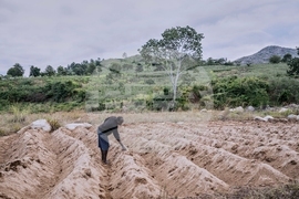 Climate COP30 Poverty