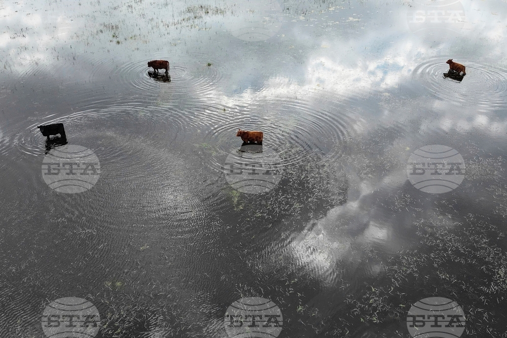 Climate COP30 Poverty