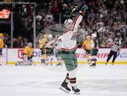 Predators Wild Hockey