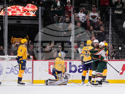 Predators Wild Hockey