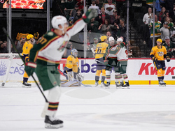 Predators Wild Hockey