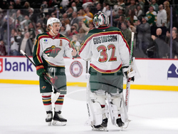 Predators Wild Hockey