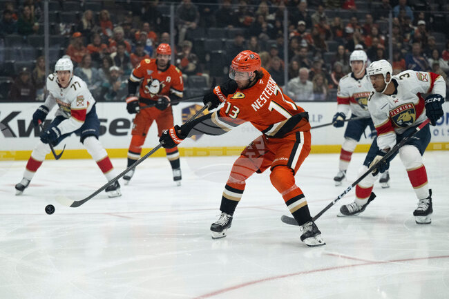 Panthers Ducks Hockey