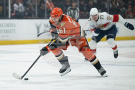 Panthers Ducks Hockey