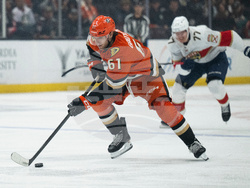 Panthers Ducks Hockey