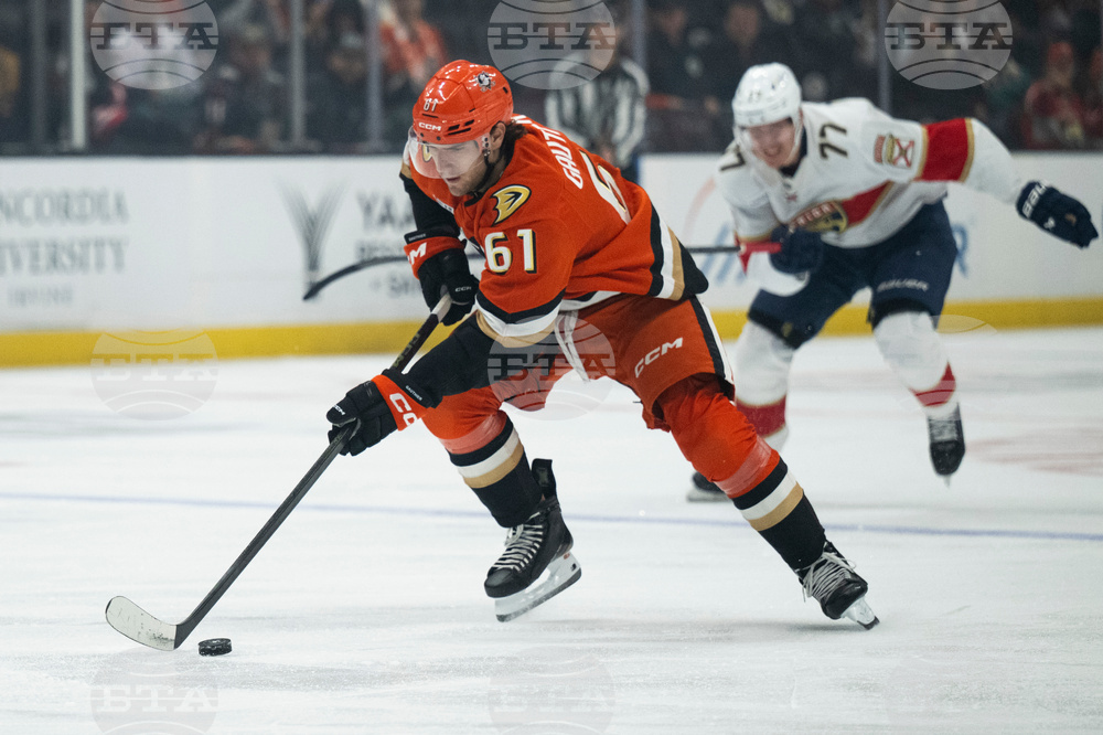 Panthers Ducks Hockey