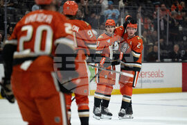 Panthers Ducks Hockey