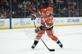 Panthers Ducks Hockey