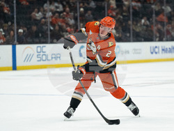 Panthers Ducks Hockey