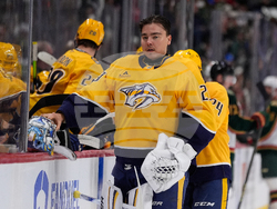 Predators Wild Hockey