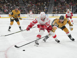 Red Wings Golden Knights Hockey