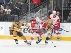 Red Wings Golden Knights Hockey