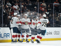 Panthers Ducks Hockey