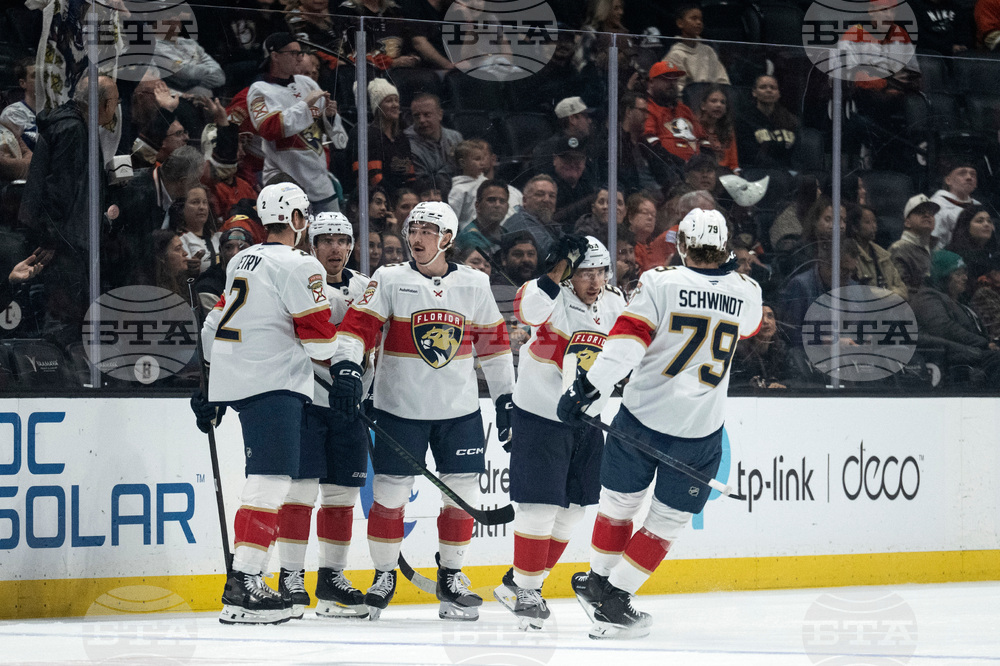 Panthers Ducks Hockey