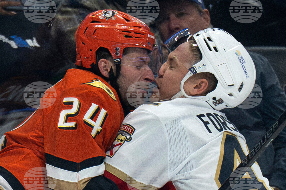 Panthers Ducks Hockey