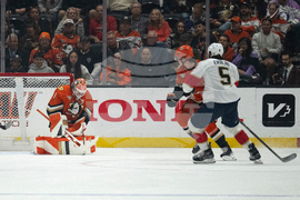 Panthers Ducks Hockey