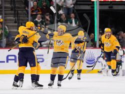 Predators Wild Hockey