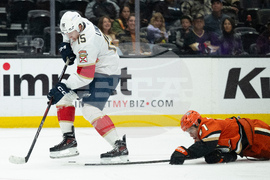 Panthers Ducks Hockey