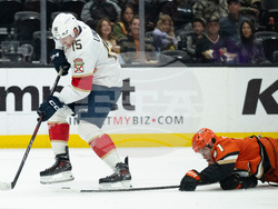 Panthers Ducks Hockey