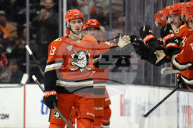 Panthers Ducks Hockey