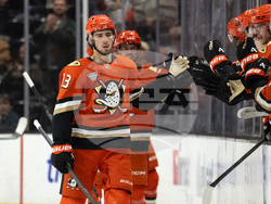 Panthers Ducks Hockey