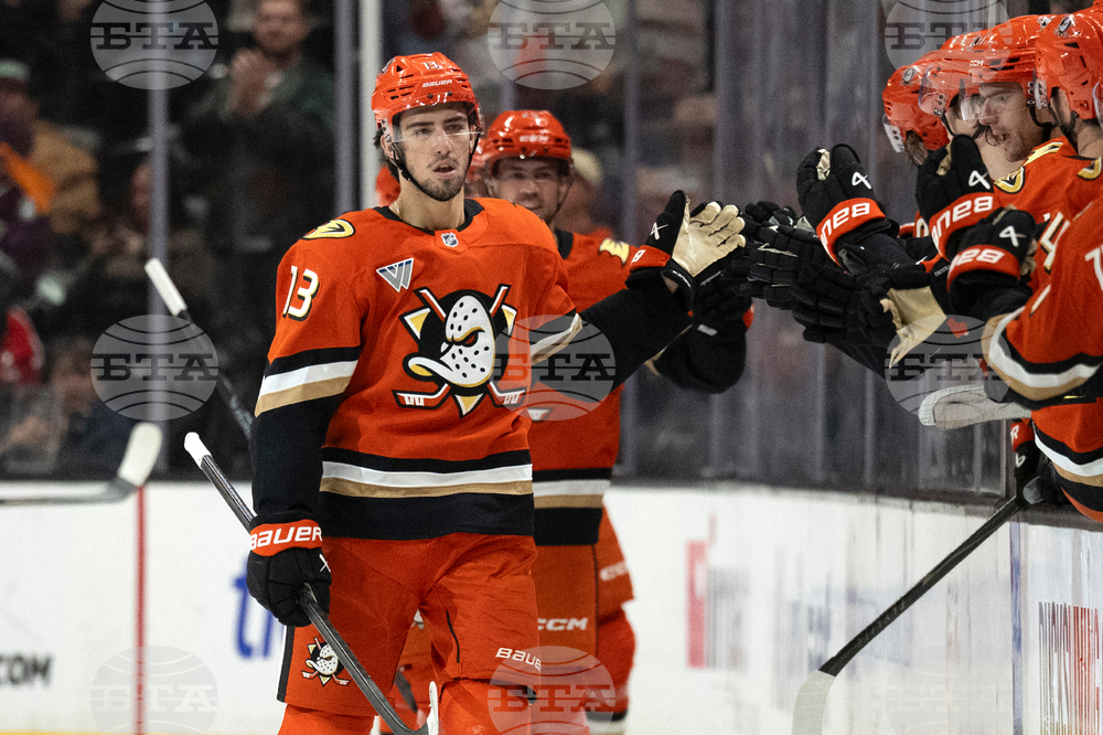 Panthers Ducks Hockey