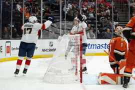 Panthers Ducks Hockey