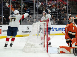 Panthers Ducks Hockey