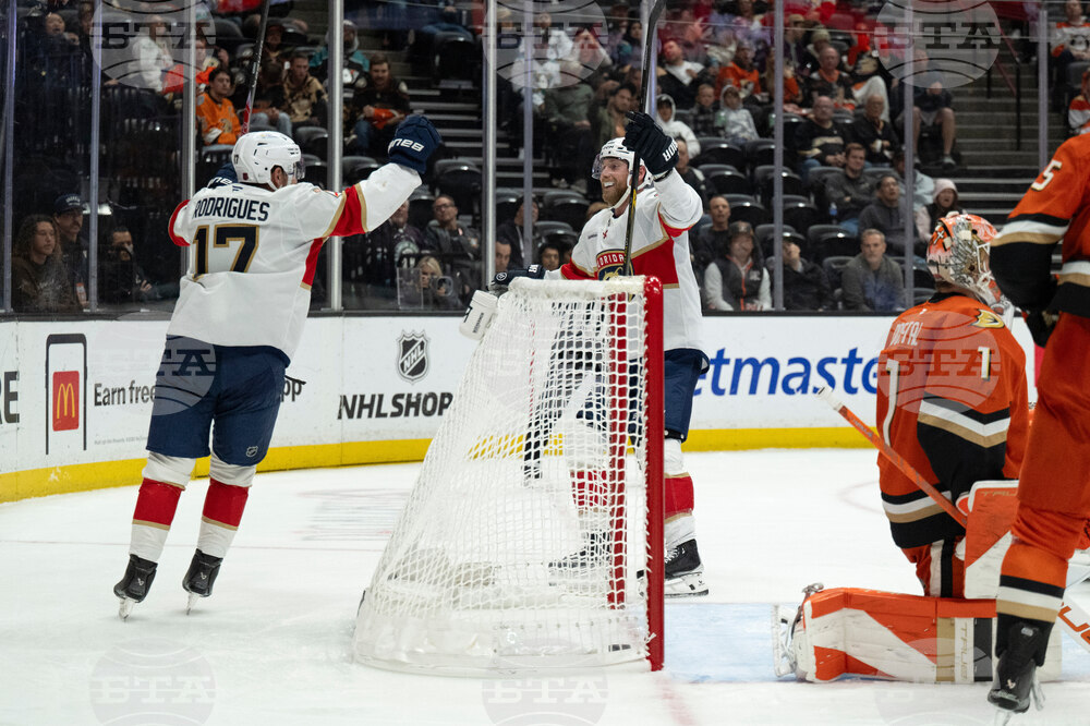 Panthers Ducks Hockey