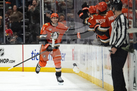 Panthers Ducks Hockey