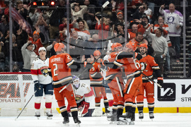 Panthers Ducks Hockey