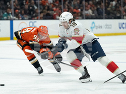 Panthers Ducks Hockey