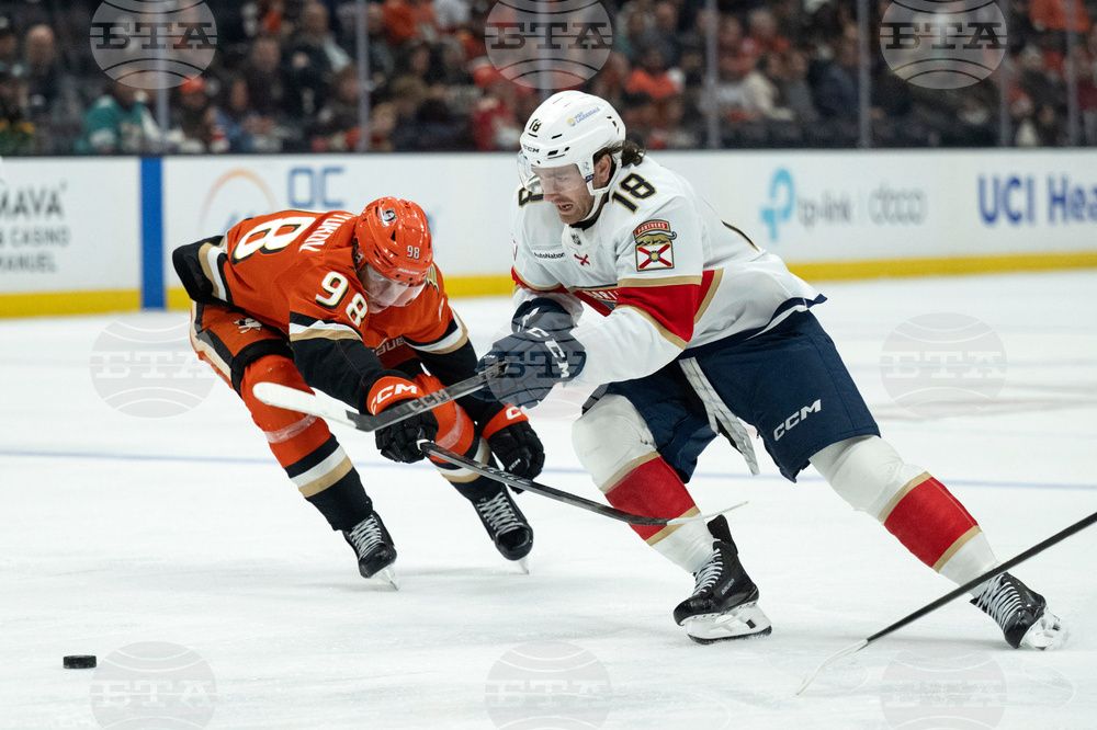 Panthers Ducks Hockey