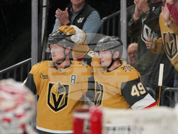 Red Wings Golden Knights Hockey