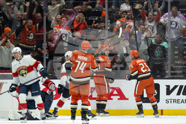 Panthers Ducks Hockey