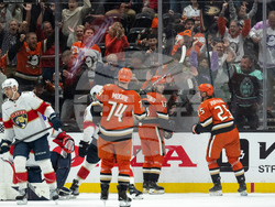 Panthers Ducks Hockey