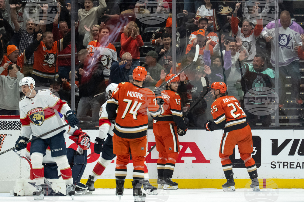 Panthers Ducks Hockey