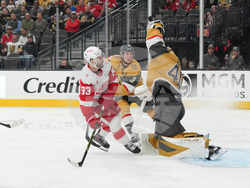 Red Wings Golden Knights Hockey