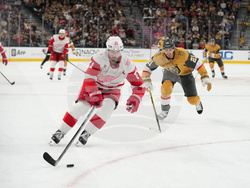 Red Wings Golden Knights Hockey