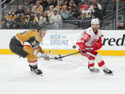 Red Wings Golden Knights Hockey