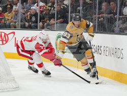 Red Wings Golden Knights Hockey