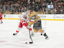 Red Wings Golden Knights Hockey