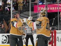 Red Wings Golden Knights Hockey