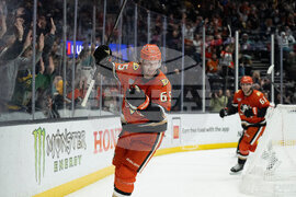 Panthers Ducks Hockey