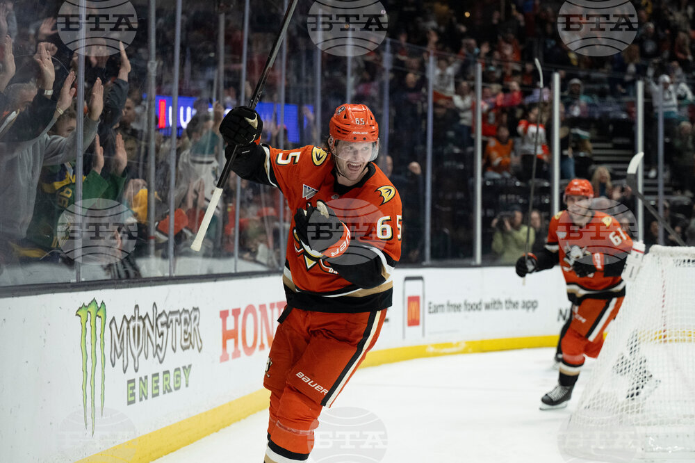 Panthers Ducks Hockey